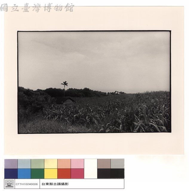 全景藏品圖，第1張