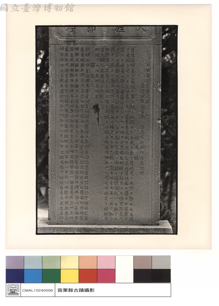 大圖瀏覽