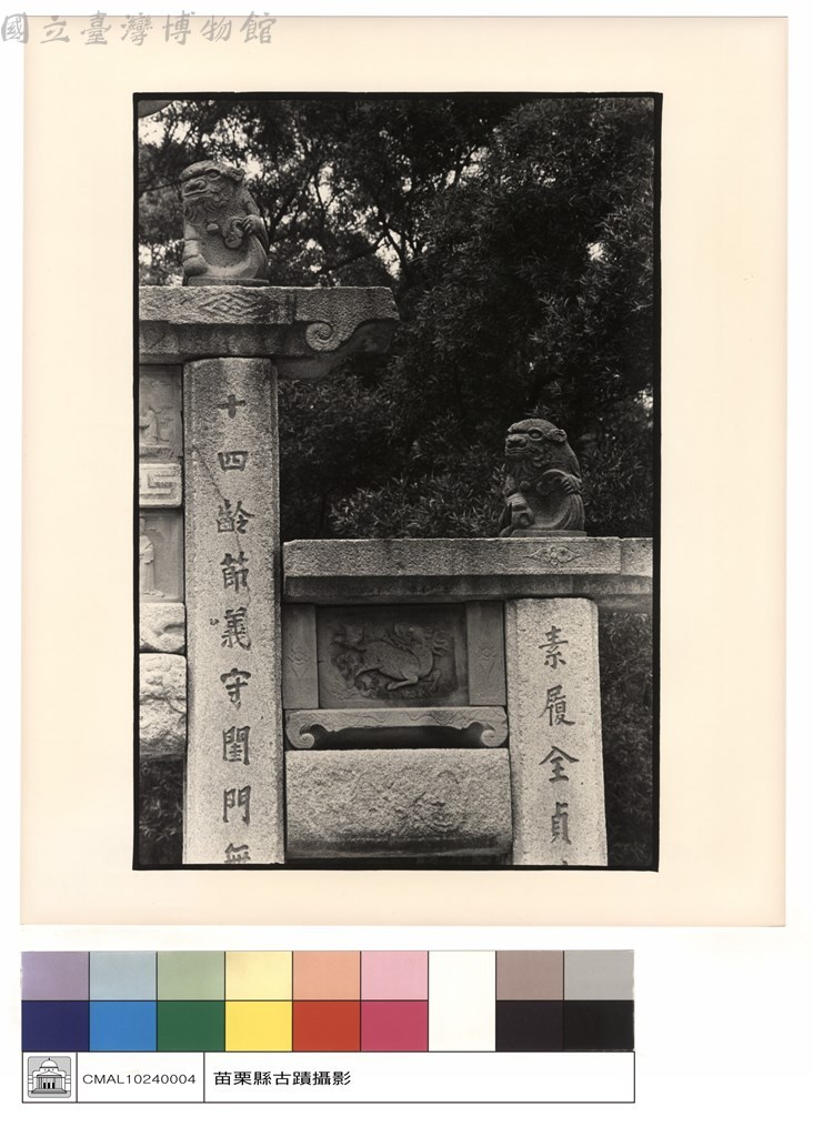 大圖瀏覽