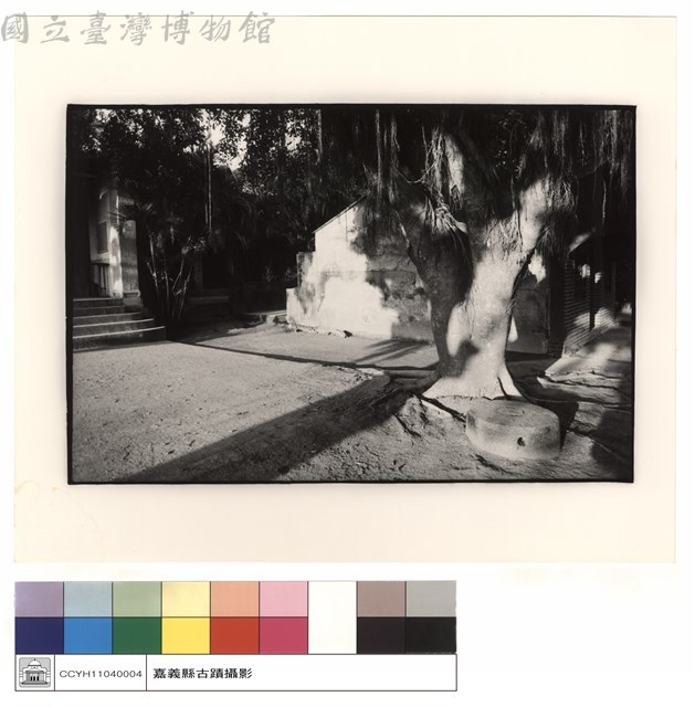 古榕藏品圖，第1張