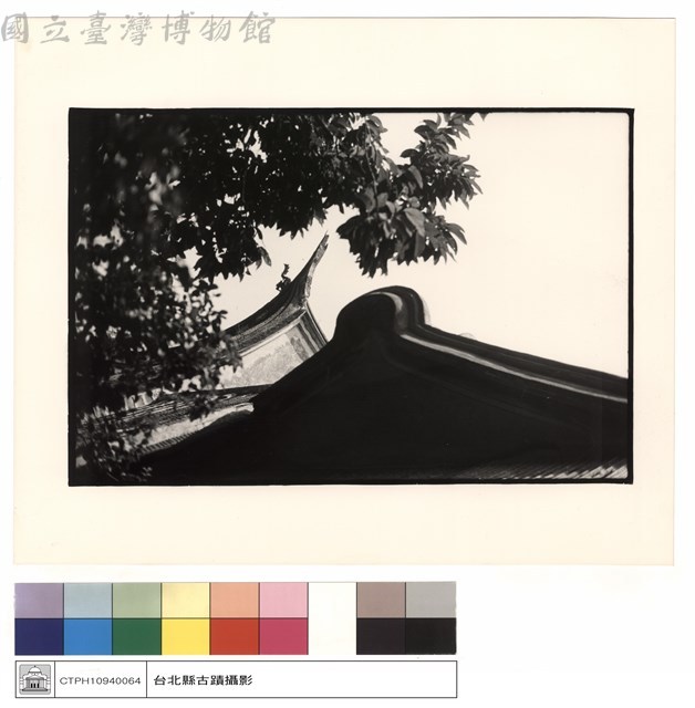 馬背及燕尾藏品圖，第1張
