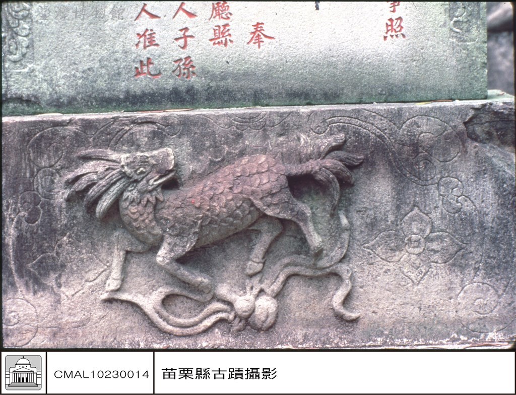大圖瀏覽
