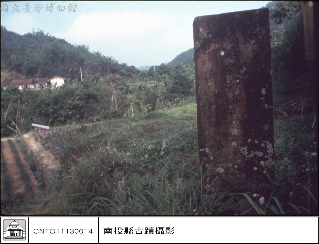 大圖瀏覽