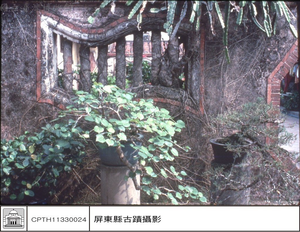大圖瀏覽