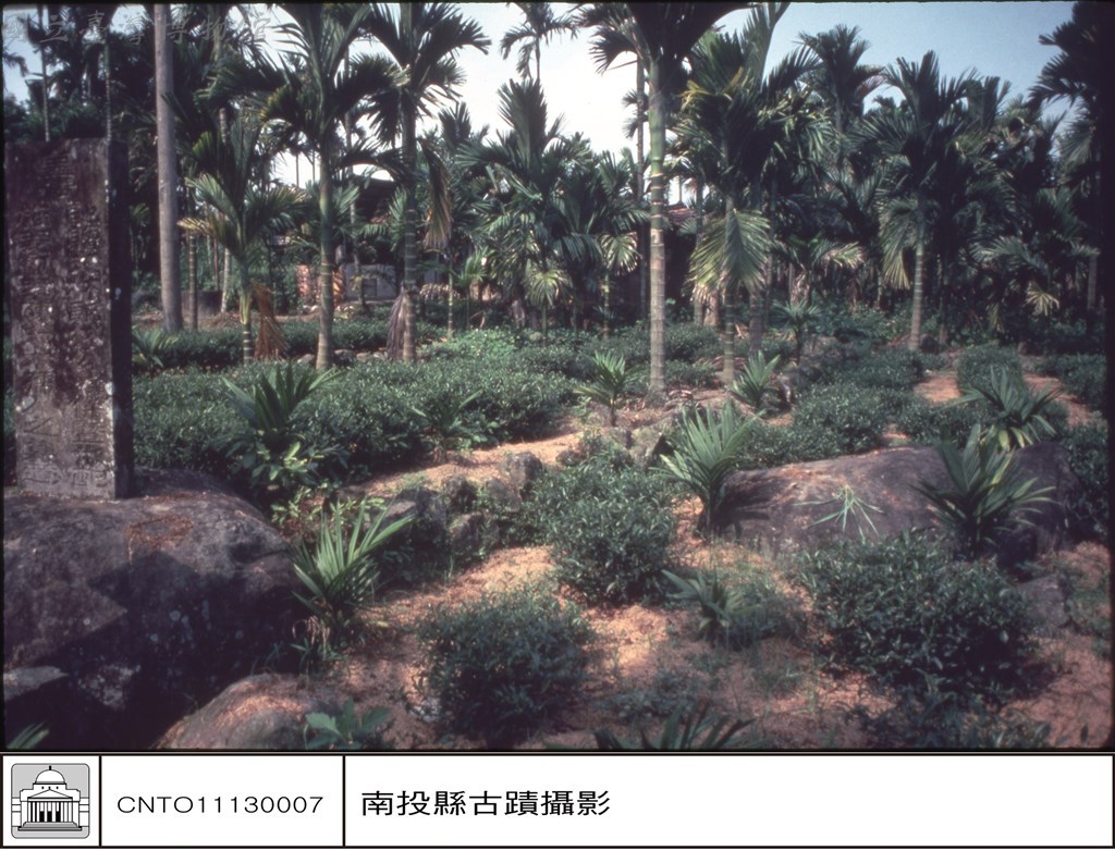 大圖瀏覽