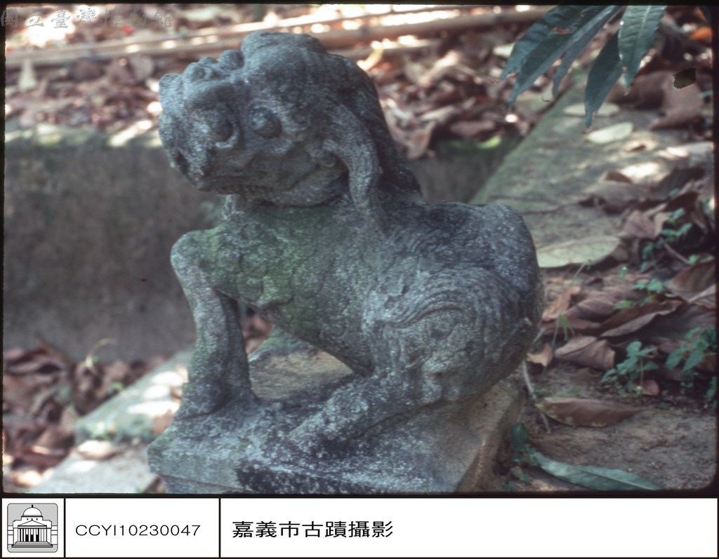 大圖瀏覽