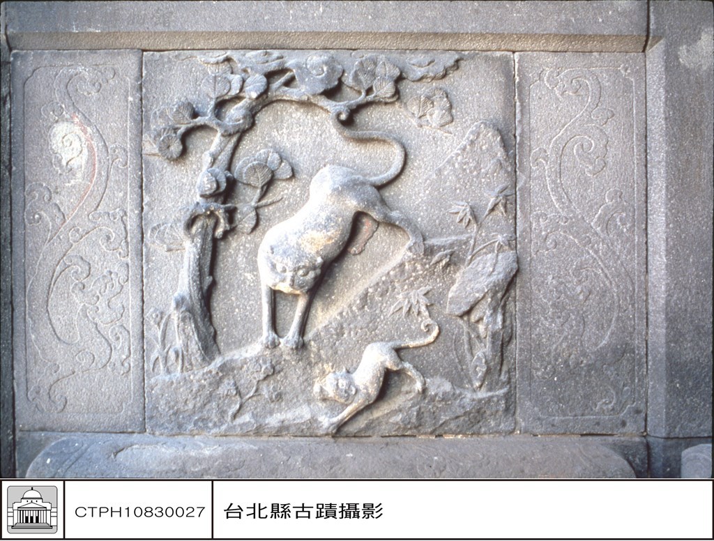 大圖瀏覽