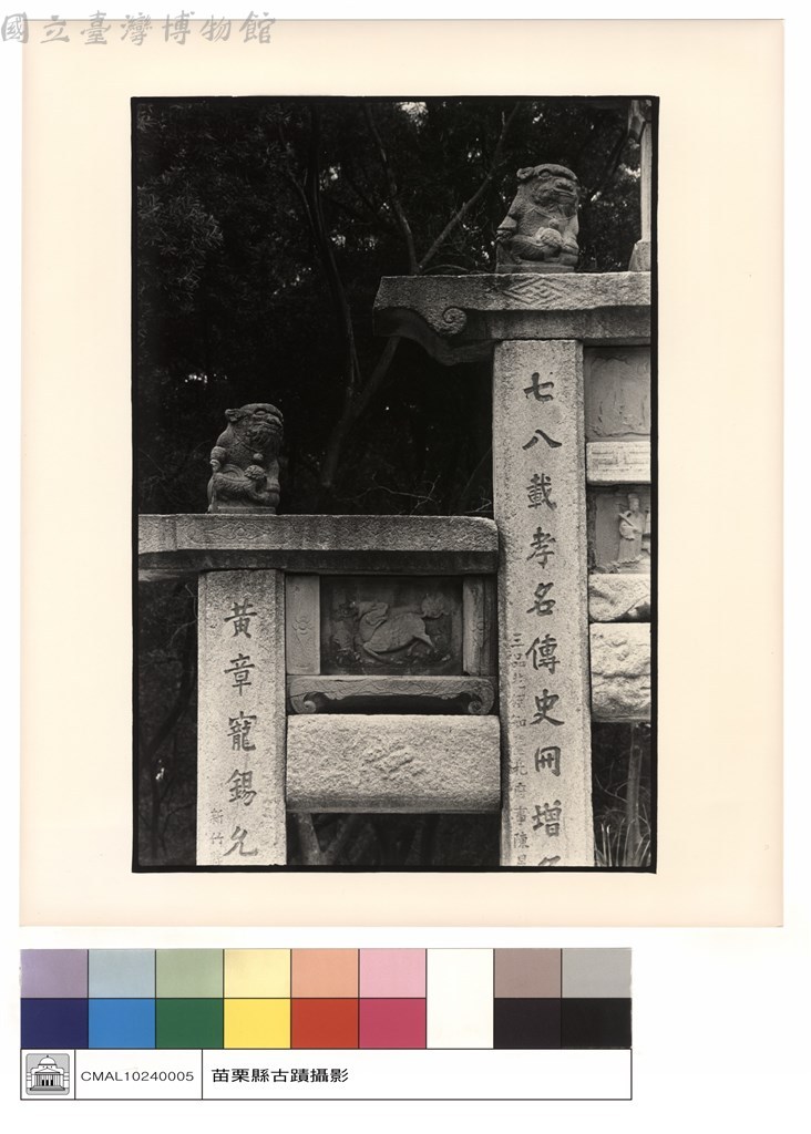 大圖瀏覽