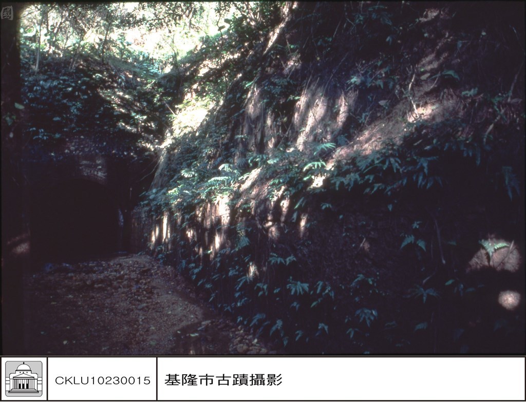 大圖瀏覽