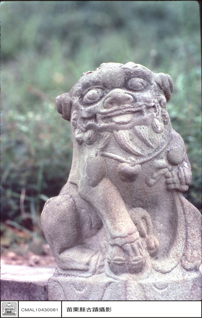 大圖瀏覽