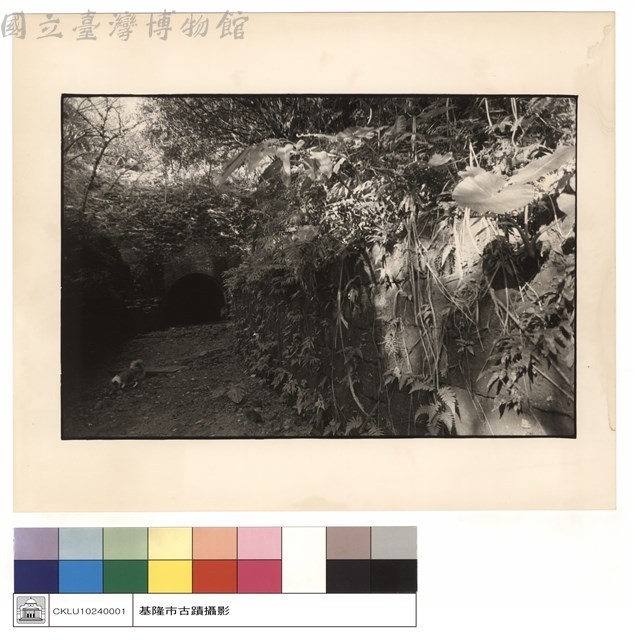 正面藏品圖，第1張