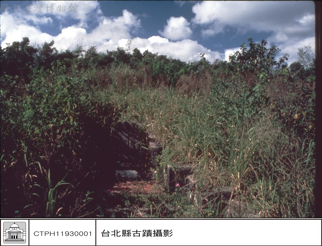 大圖瀏覽