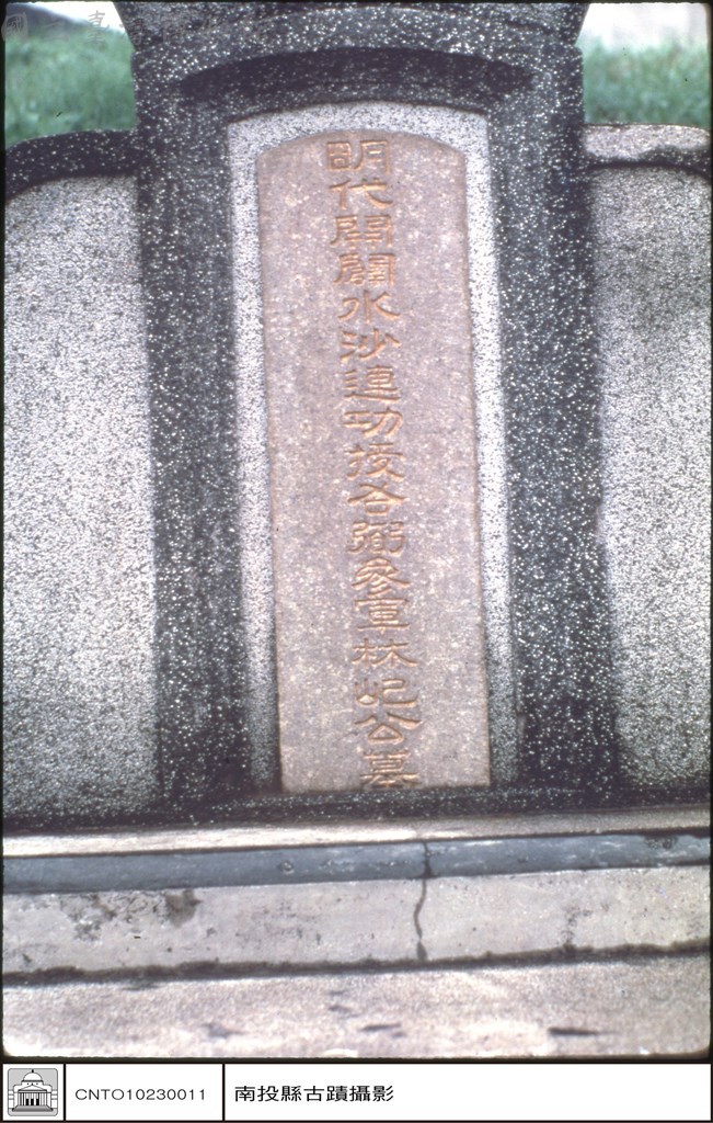 大圖瀏覽