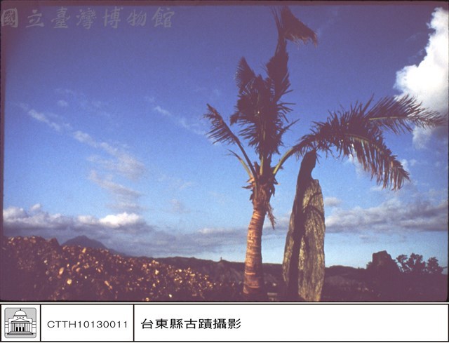 全景藏品圖，第1張