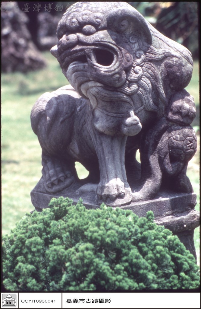 大圖瀏覽