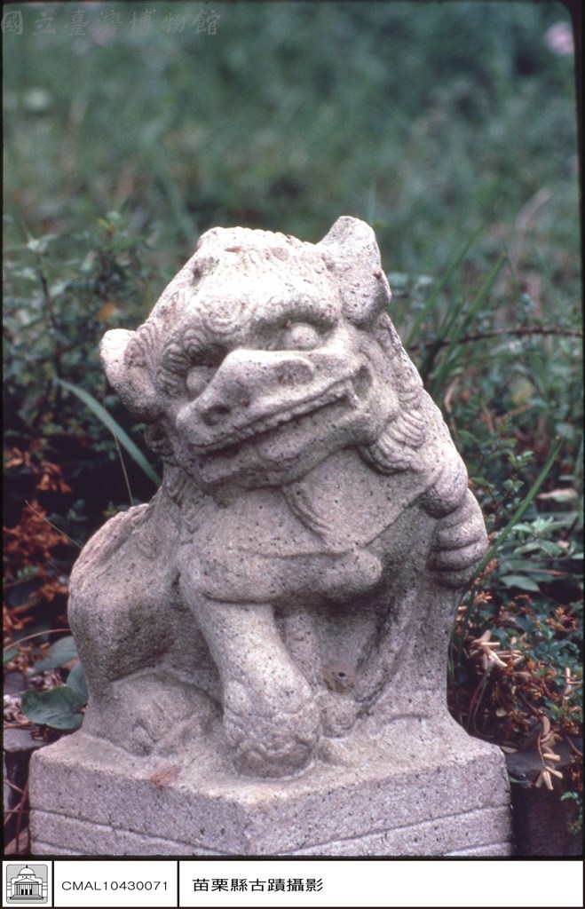 大圖瀏覽