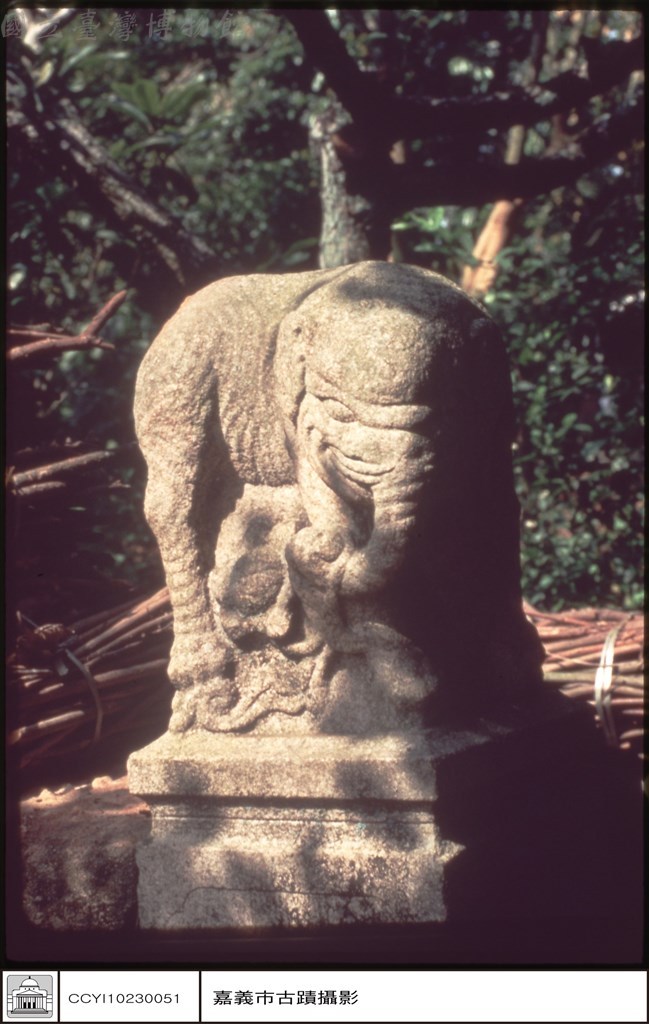 大圖瀏覽