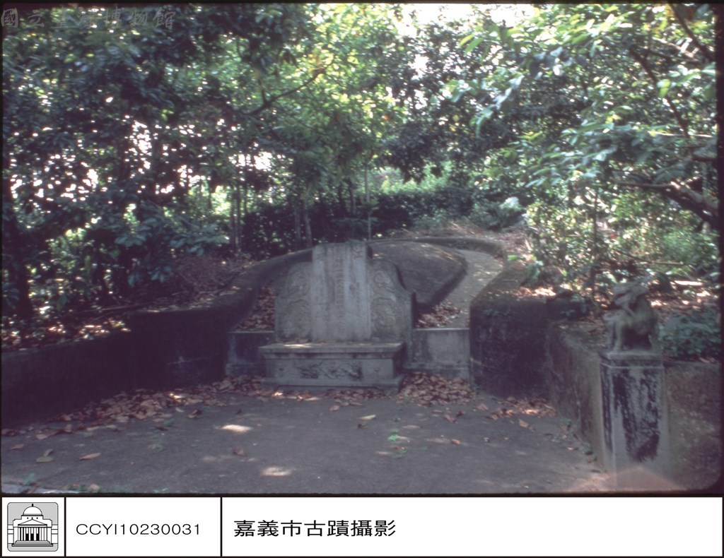 大圖瀏覽