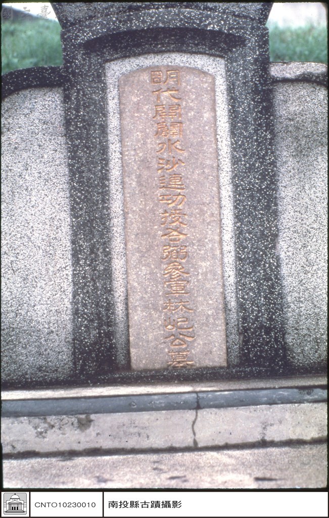 大圖瀏覽
