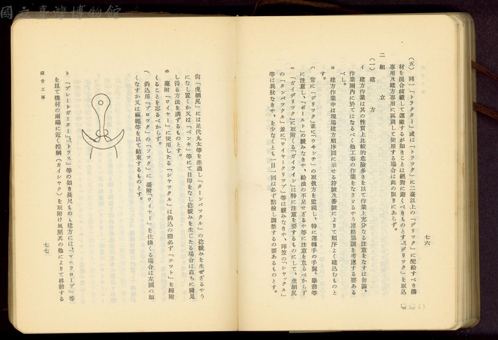 大圖瀏覽