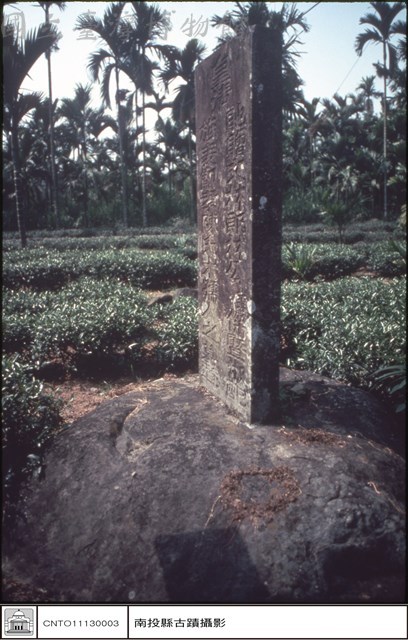全景藏品圖，第1張