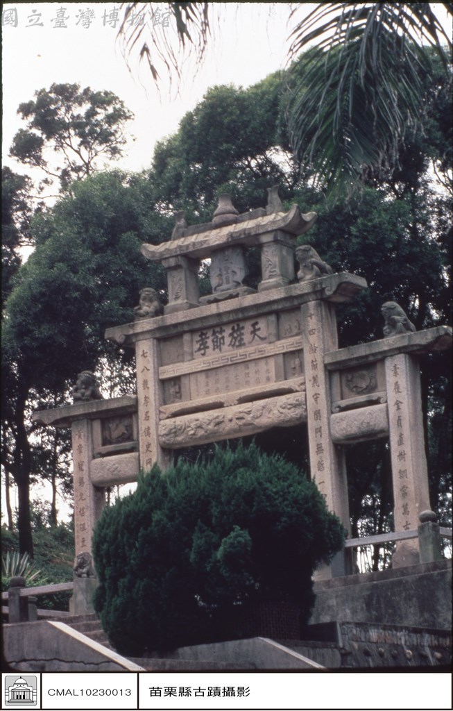 大圖瀏覽