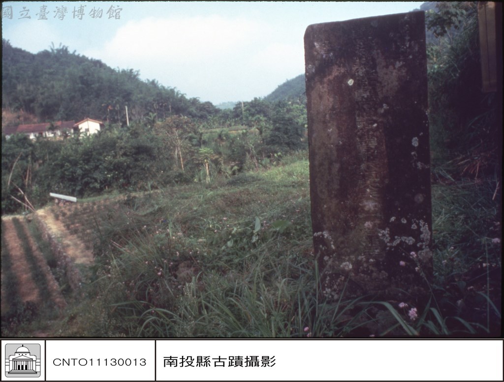 大圖瀏覽