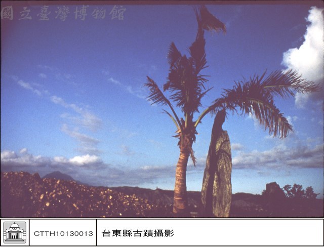 全景藏品圖，第1張