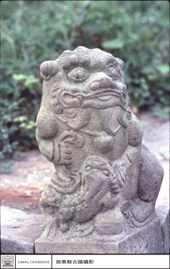 大圖瀏覽
