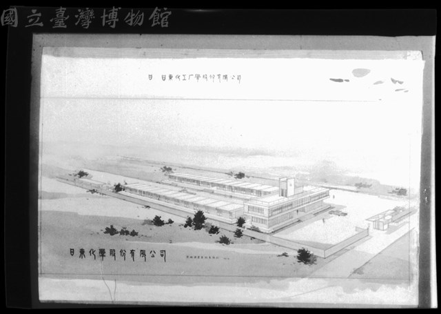 (P8-1膠片)藏品圖，第1張