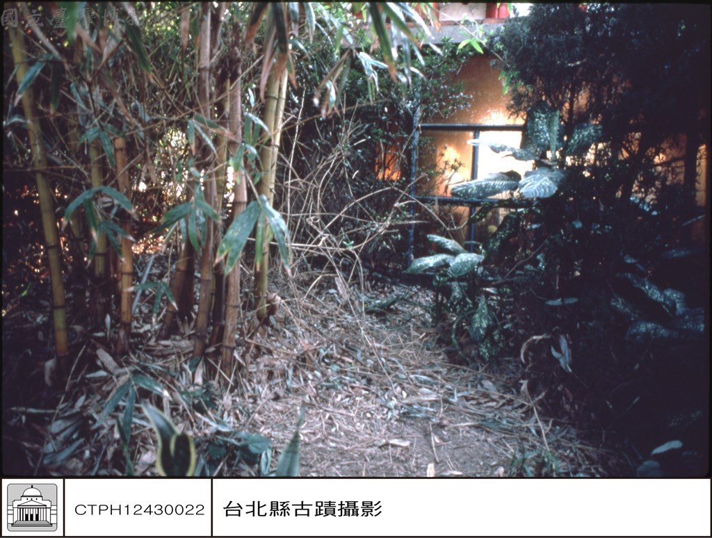 大圖瀏覽