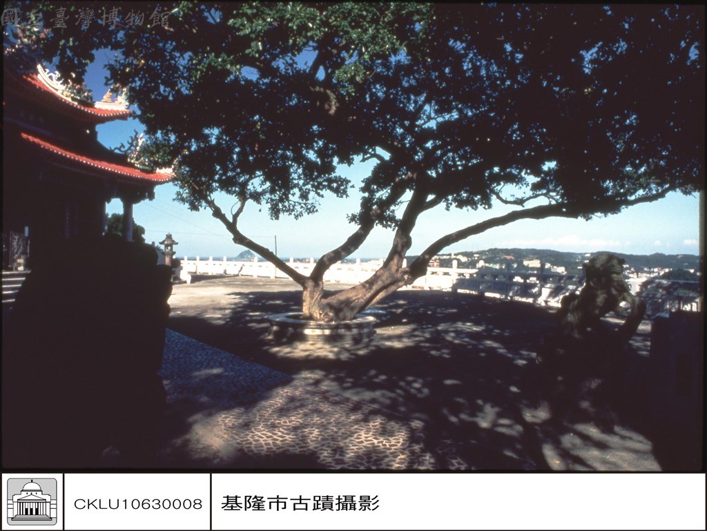 大圖瀏覽