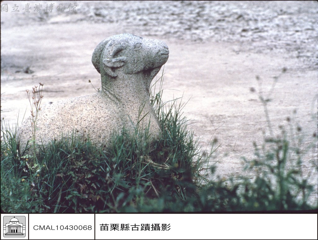 大圖瀏覽