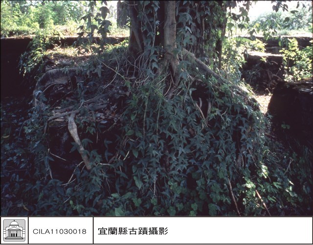 砲位中之牆藏品圖，第1張