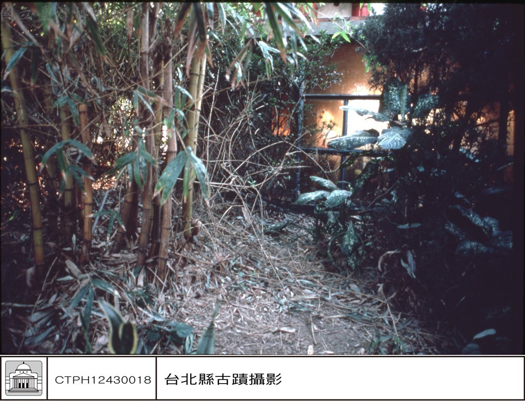 大圖瀏覽
