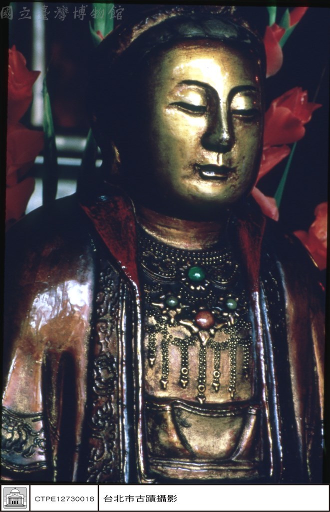 大圖瀏覽