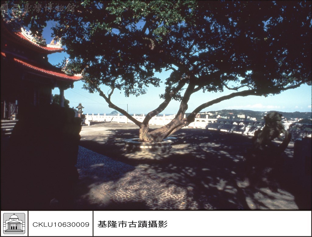 大圖瀏覽
