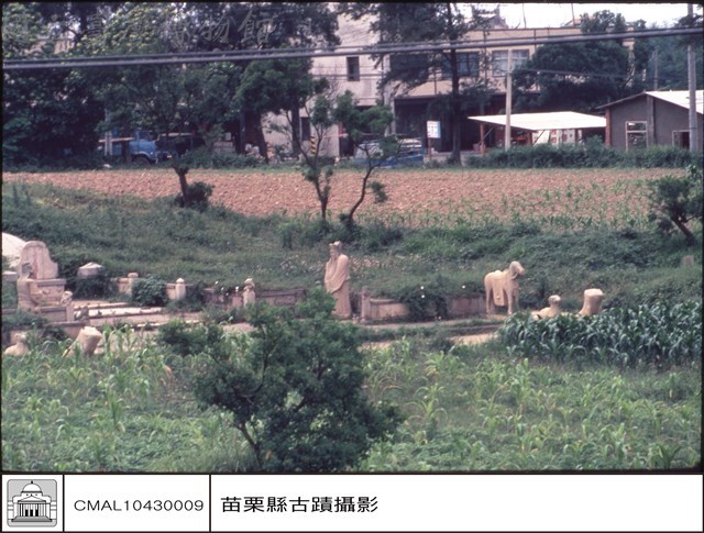 全景藏品圖，第1張