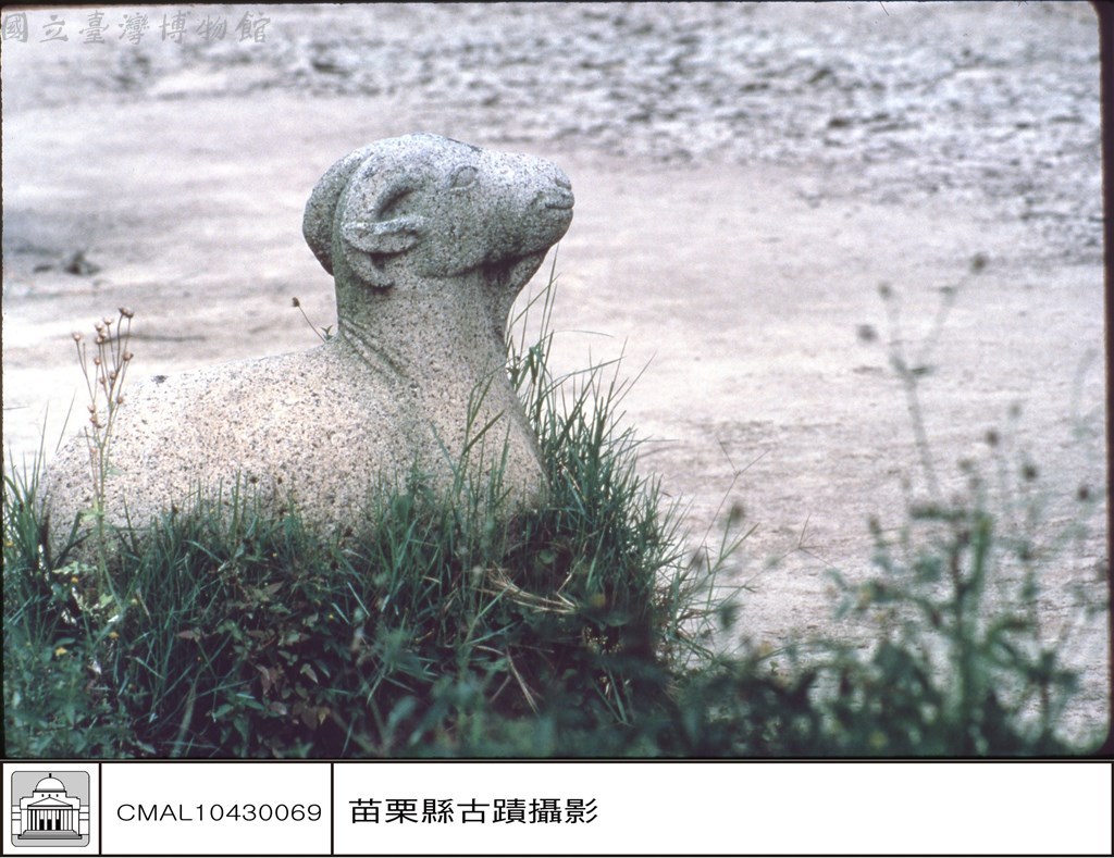 大圖瀏覽