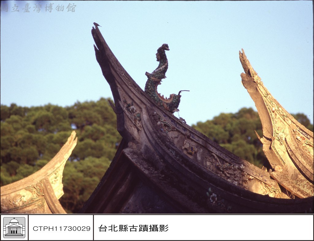 大圖瀏覽