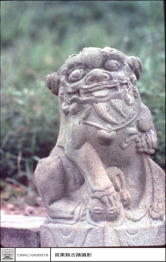 大圖瀏覽