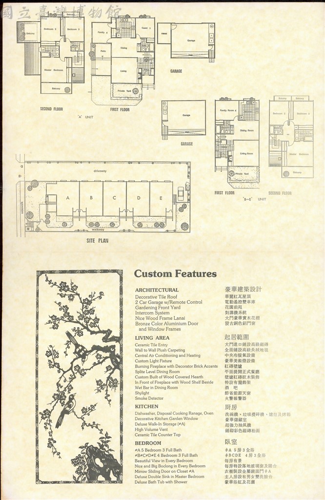 大圖瀏覽