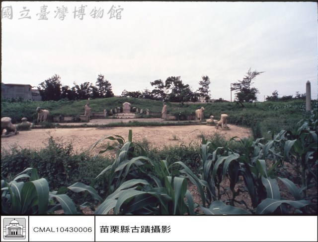 全景藏品圖，第1張