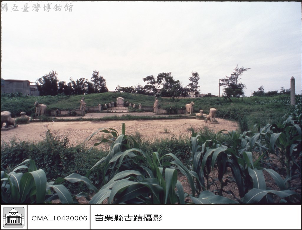 大圖瀏覽