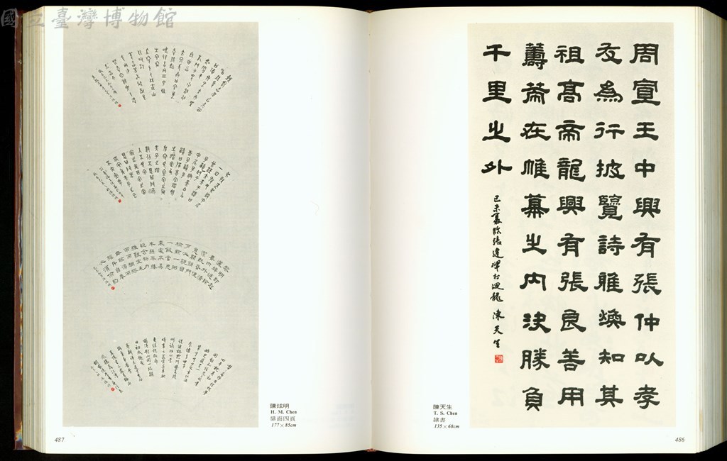 大圖瀏覽