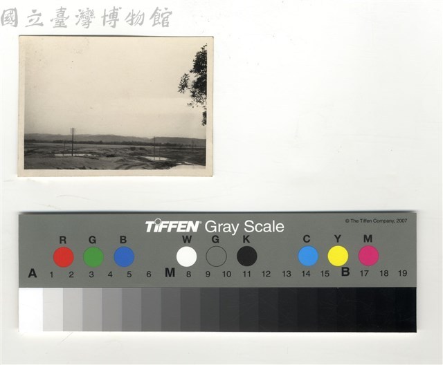 遠山、電線桿、樹藏品圖，第1張
