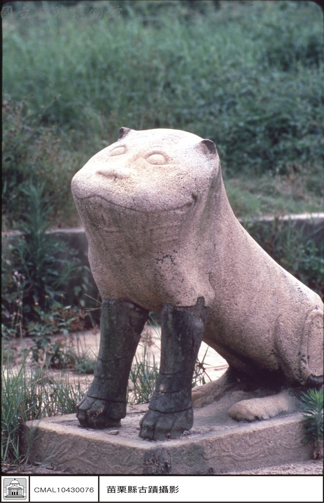 大圖瀏覽