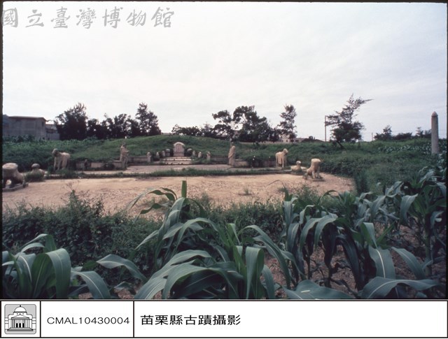 全景藏品圖，第1張