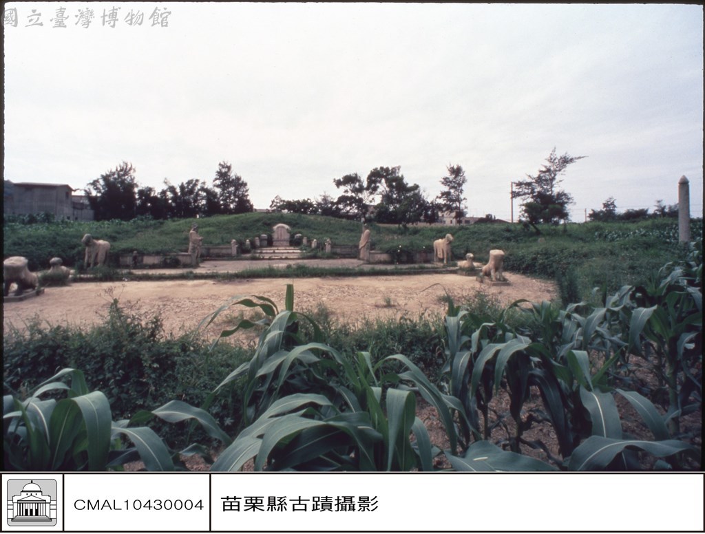 大圖瀏覽