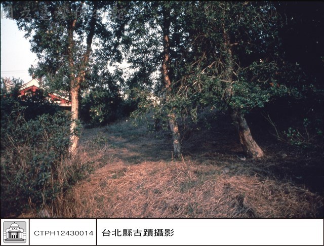 後左側藏品圖，第1張
